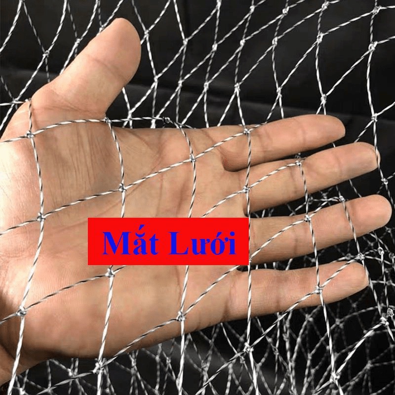 Mặt Vợt Tam Giác Inox Câu Cá - Đồ Câu DHS