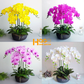 Bình hoa chậu hoa lan hồ điệp cỡ lớn cao 60cm trang trí nhà cửa,cửa hàng, làm quà tặng khai trương