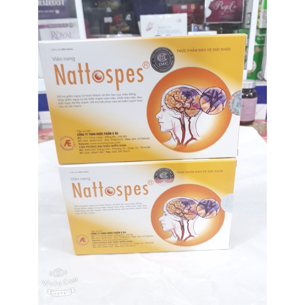 (CHÍNH HÃNG) Viên uống Nattospes tăng cường tuần hoàn máu não