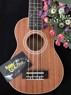 Đàn ukulele soprano VT-550