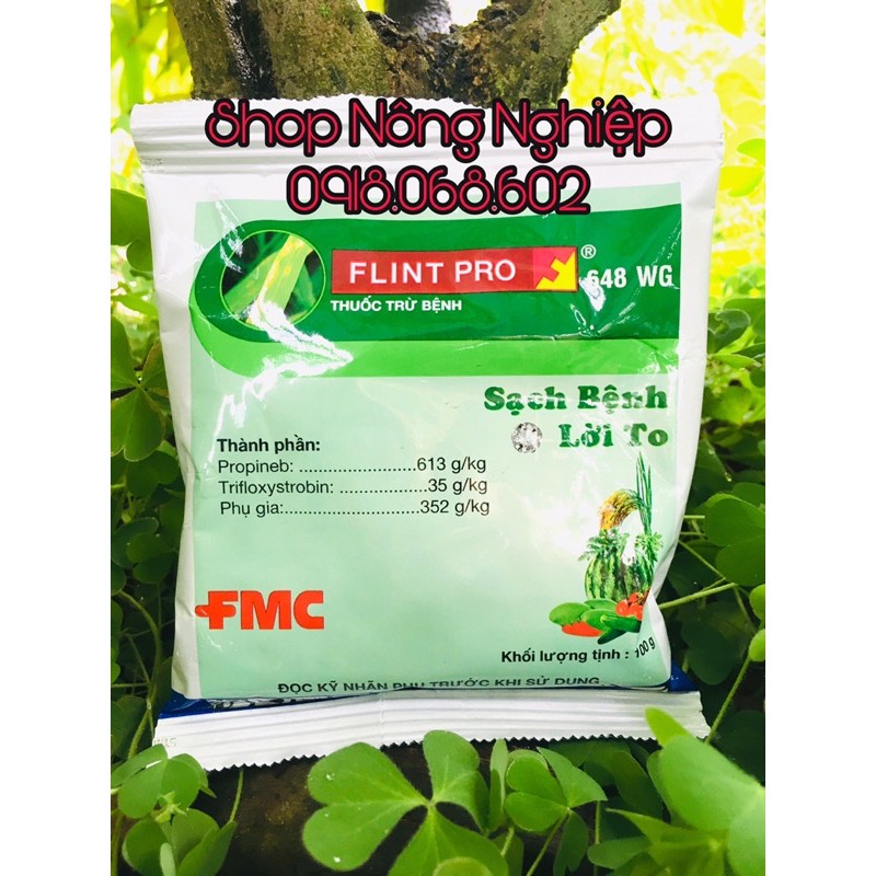 FLINT PRO 648WG Đặc trị nấm bệnh cho cây trồng 100gr