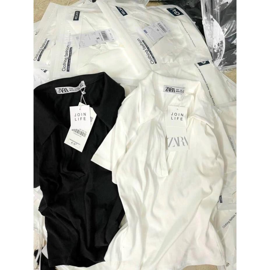 Áo Polo Chữ V Cộc Tay  Nữ CARLA Thun body dáng ôm, phông trơn cổ tim hot girl bánh bèo, tiểu thư Ulzzang