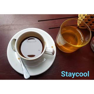XỊT THƠM MIỆNG BẠC HÀ STAYCOOL