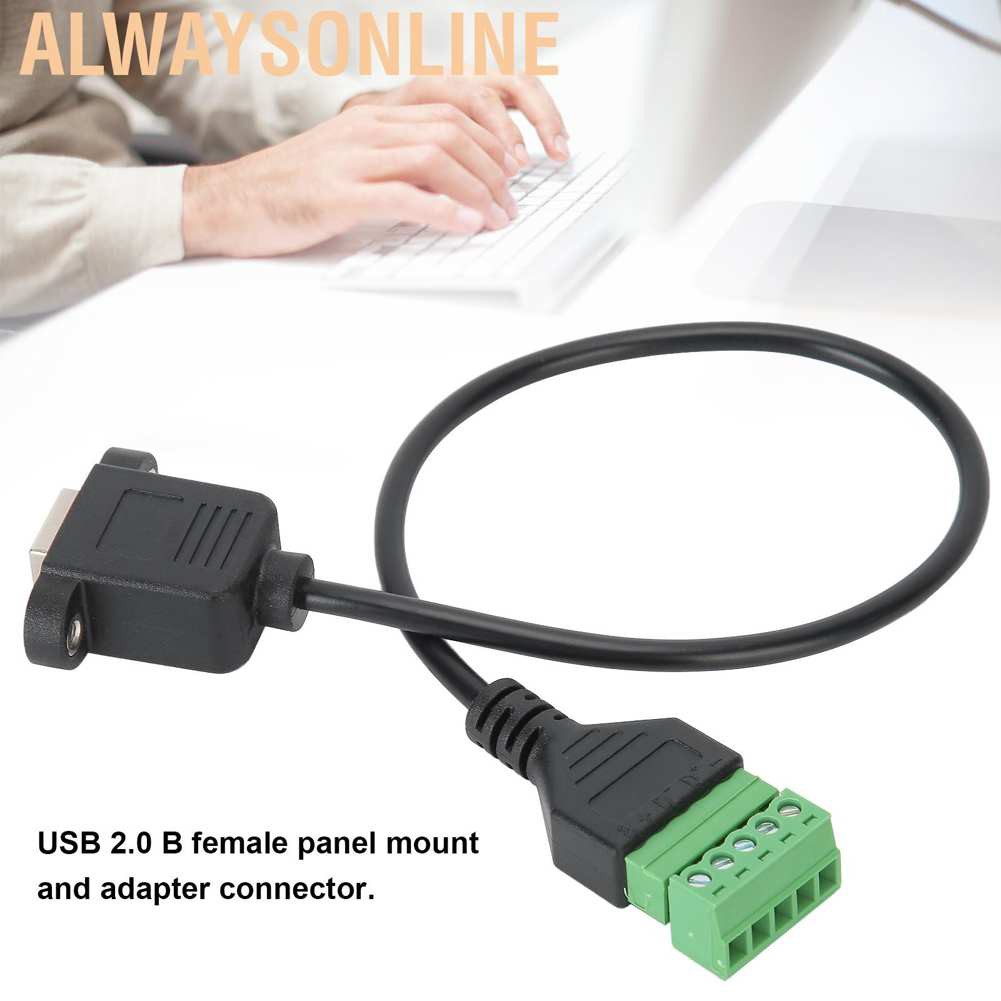 Set 2 Đầu Nối Dây Cáp Usb 2.0 B 0.3m / 0.98ft