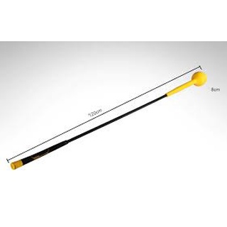Gậy tập swing golf