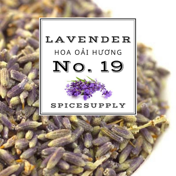 Lavender Đà Lạt - Hoa oải hương mẻ mới siêu thơm Sỉ Lẻ