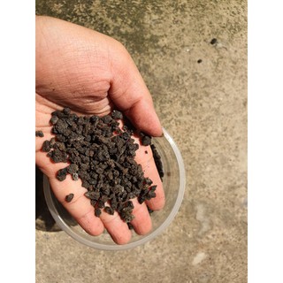 500g Đá nham thạch Lava Đỏ