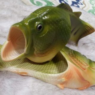 Dép cá rô phi xanh