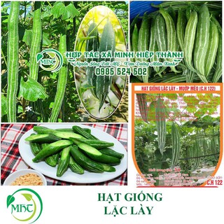 Sale off hạt giống lặc lè cực đẹp.