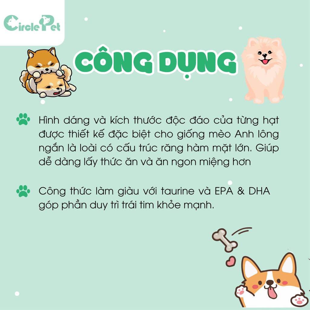 Thức Ăn Ướt Cho Mèo Lông Ngắn Royal Canin Adult British Short Hair Dễ Dàng Tiêu Hóa 85g - Circle Pet