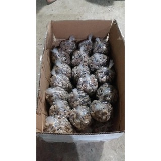 100g bột tam thất bắc