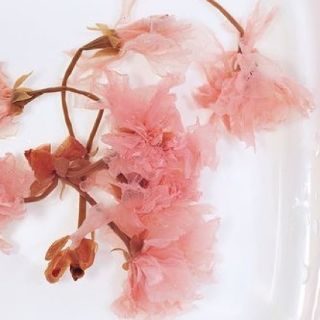 Hoa anh đào muối gói 50gr