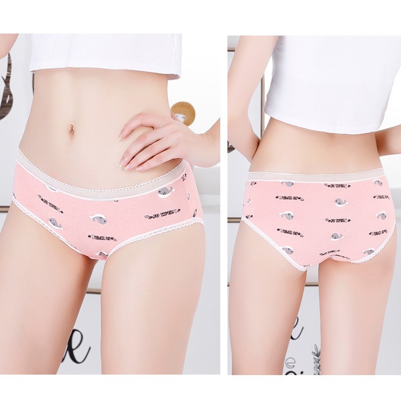 Quần lót nữ cotton cao cấp co giãn kháng khuẩn in hình đáng yêu dễ thương QL37 | BigBuy360 - bigbuy360.vn