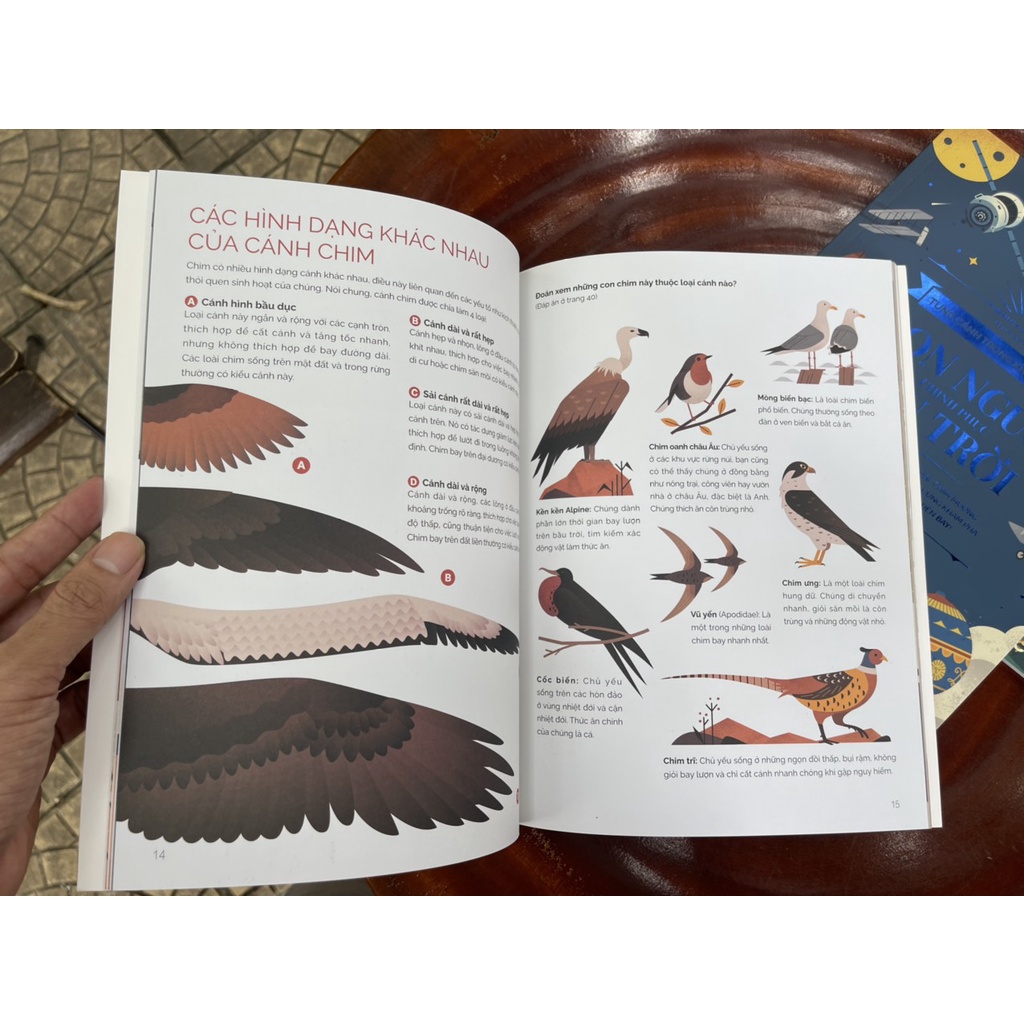 Sách - Combo 3 cuốn TUNG CÁNH TRONG KHÔNG TRUNG-Beauty of Science – Keng dịch - NXB Kim Đồng (bìa mềm-in màu)