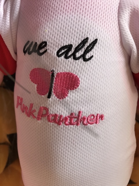 KHO SỈ Chú Báo Hồng 1 Mét PINKPANTHER Cao Cấp,Lông Nhung Mịn