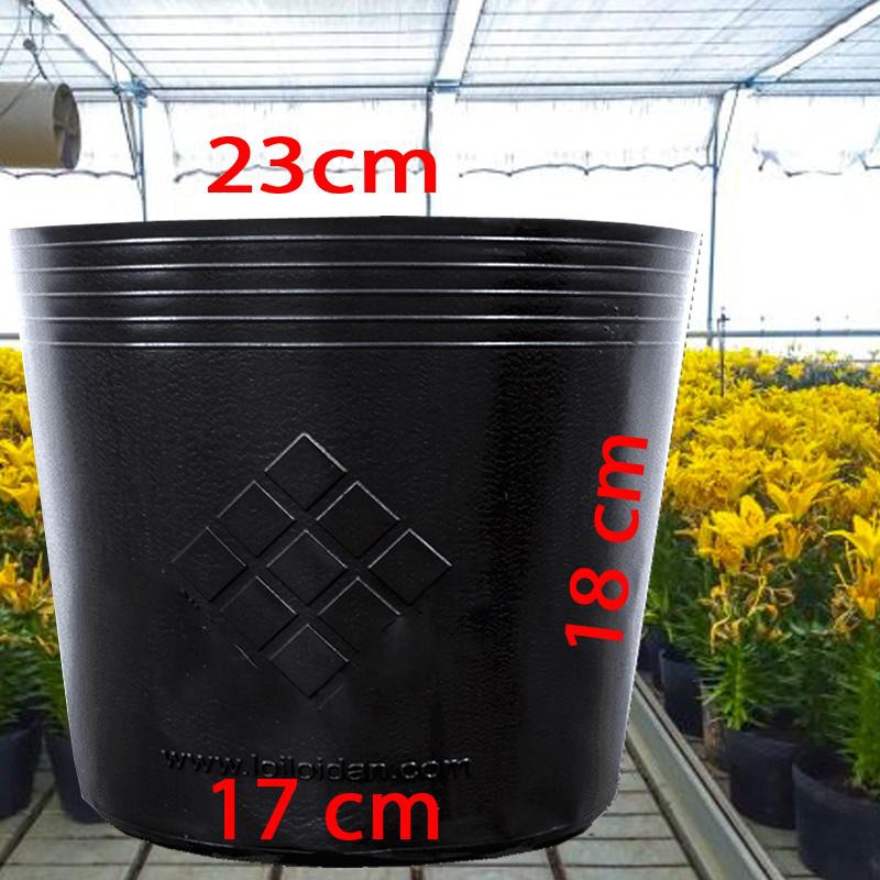 50 Chậu nhựa C9 23x18cm trồng cây ăn trái và hoa,bền 10 năm -77104