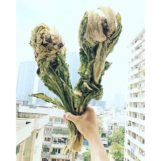 Thiên Sơn Tuyết Liên Hoa
