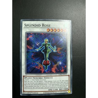 bài yugioh:splendid rose