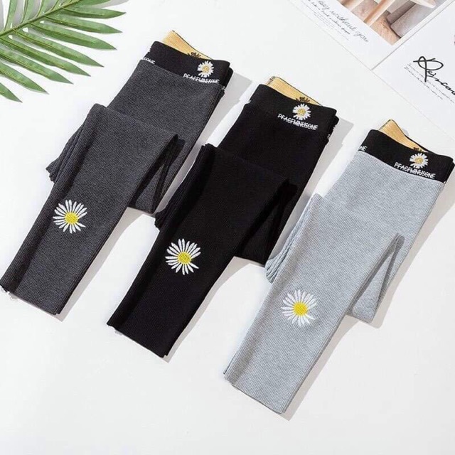 Quầ legging hoa cúc siêu hot cho nữ