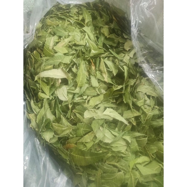 lá neem sấy khô: 1kg | BigBuy360 - bigbuy360.vn