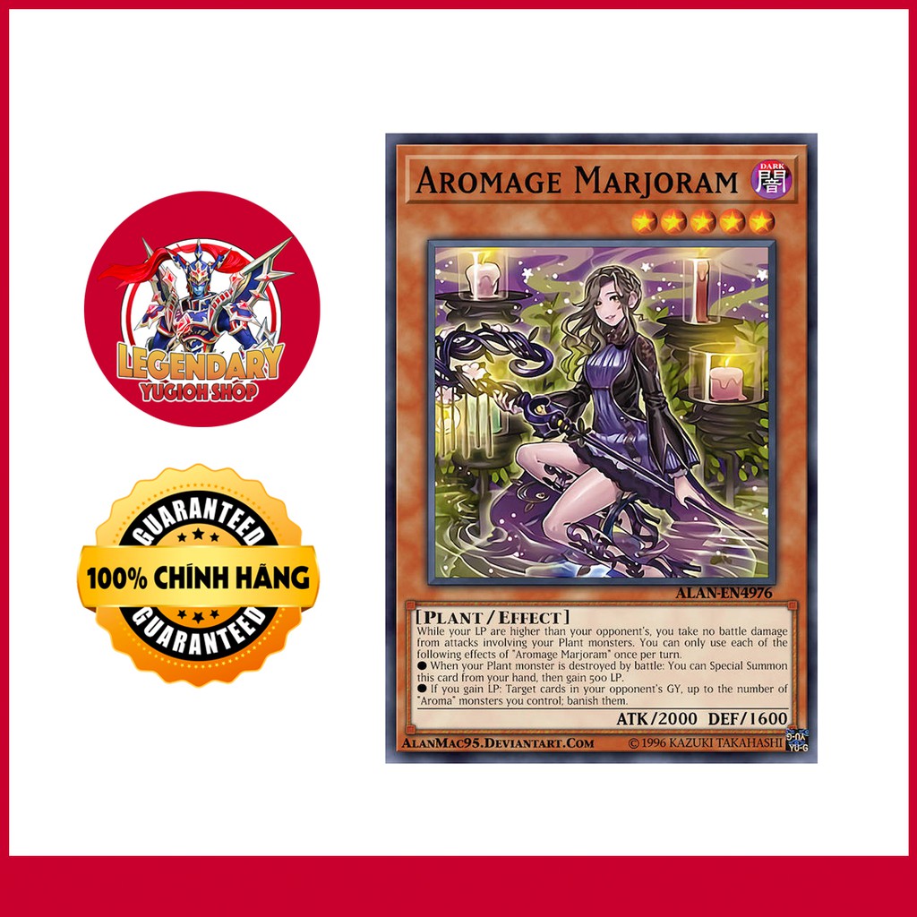 Aromage Marjoram