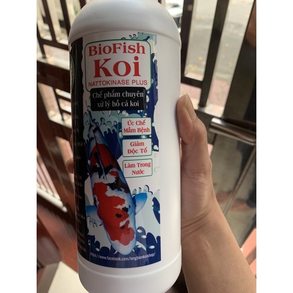 Bio Fish Koi- Vi sinh làm trong nước hồ cá koi