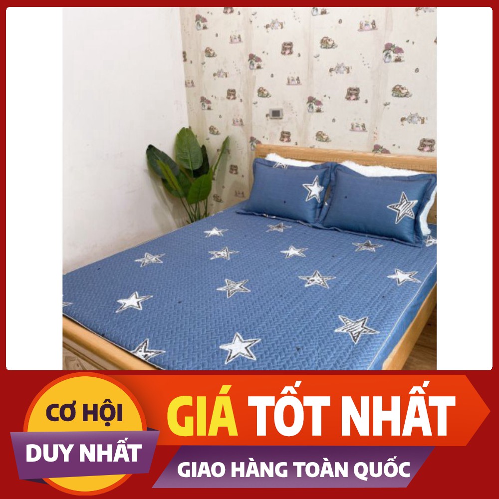 Ga gối chun trần bông cotton 100% , vỏ gối 45*65( chat chọn mẫu)