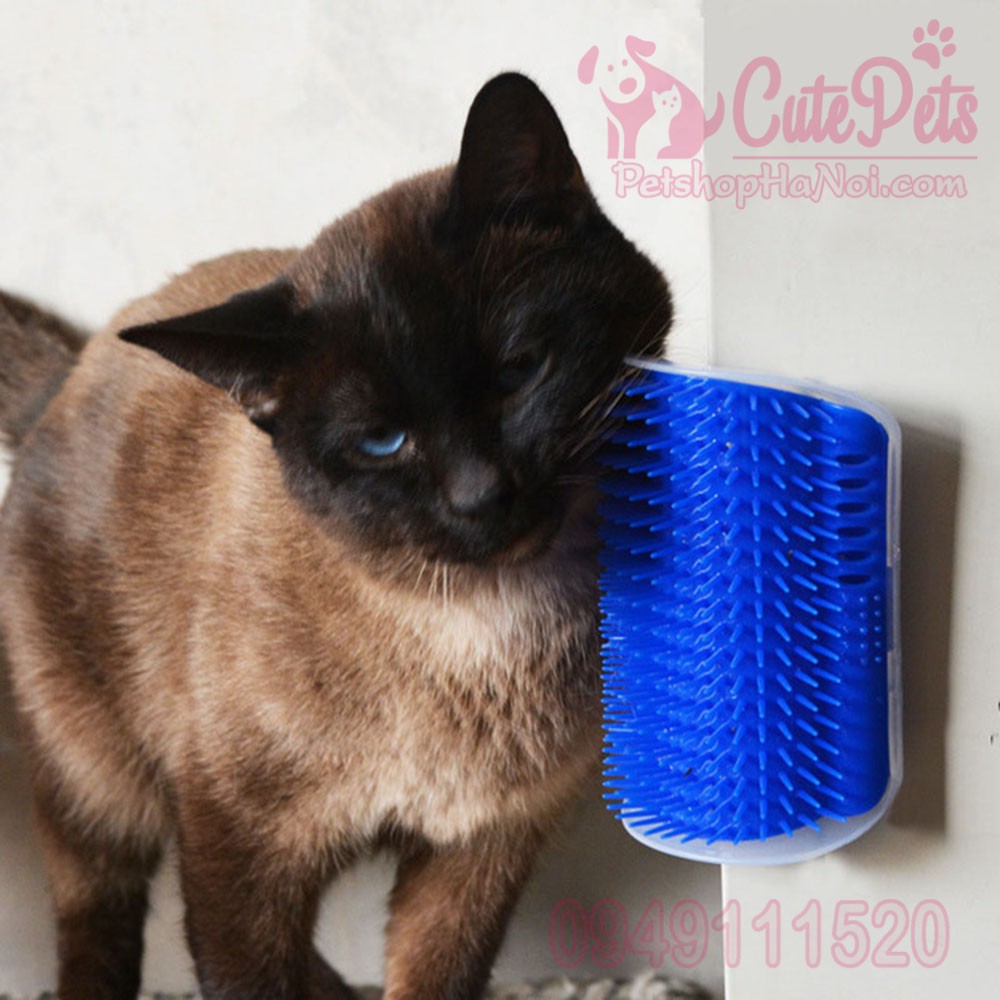 Cọ má cho mèo Cat it Self Groomer - CutePets Phụ kiện chó mèo Pet shop Hà Nội