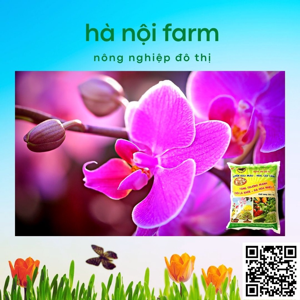 Phân bón đầu trâu 20-20-15, dùng cho rau màu, hoa kiểng gói 1kg