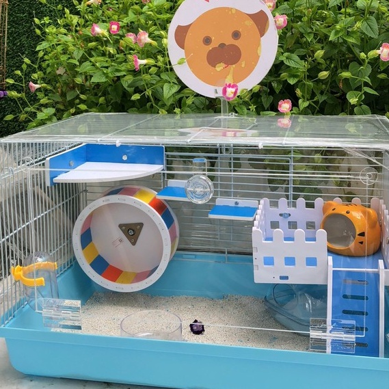 Nhà ngủ sứ hamster, HỔ NHỎ siêu mát, dễ thương