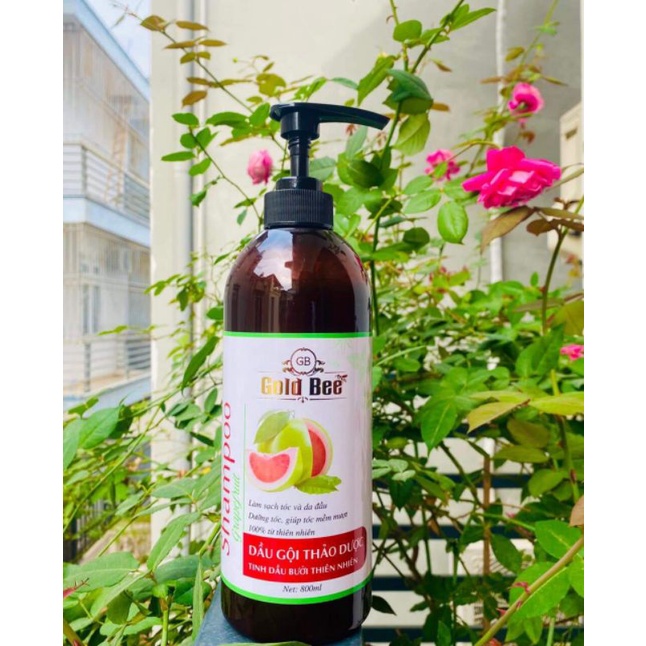 DẦU GỘI DƯỢC LIỆU GOLD BEE