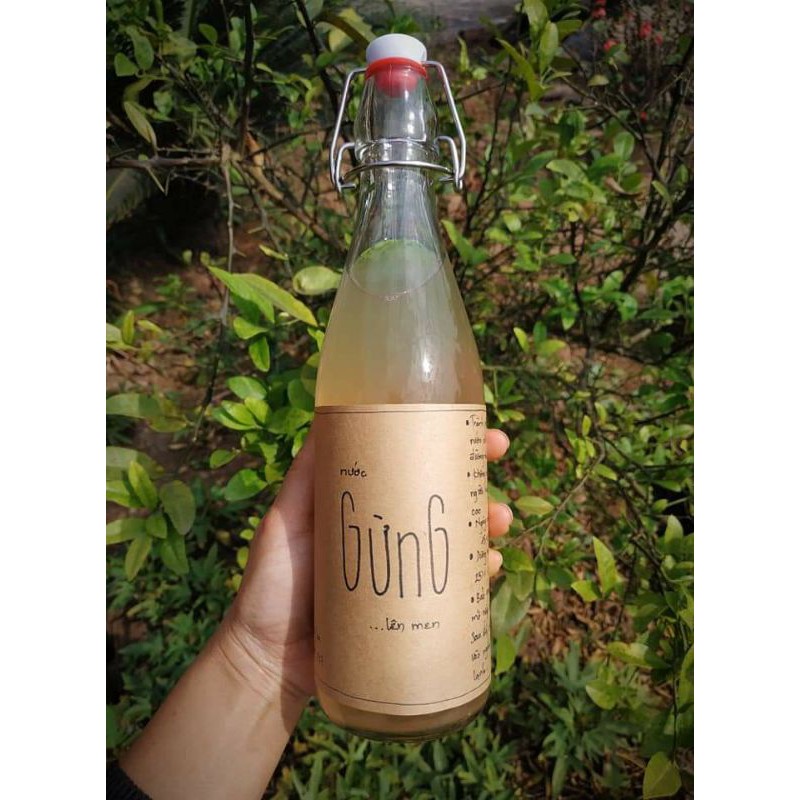Nước gừng lên men