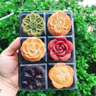 Set bánh 6-50g