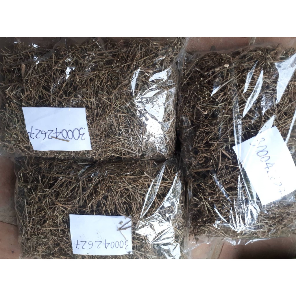 Cà gai leo 500g