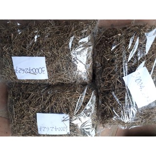 Cà gai leo 500g