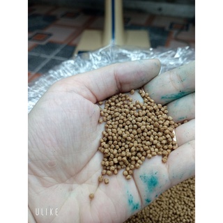 Cám cá cảnh, cá Koi, cá vàng( 1mm- 1,5 mm) siêu đạm