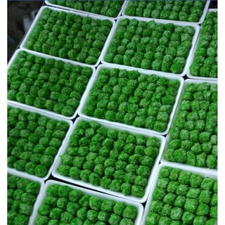 Chả cá tẩm cốm Ongon, túi 500g