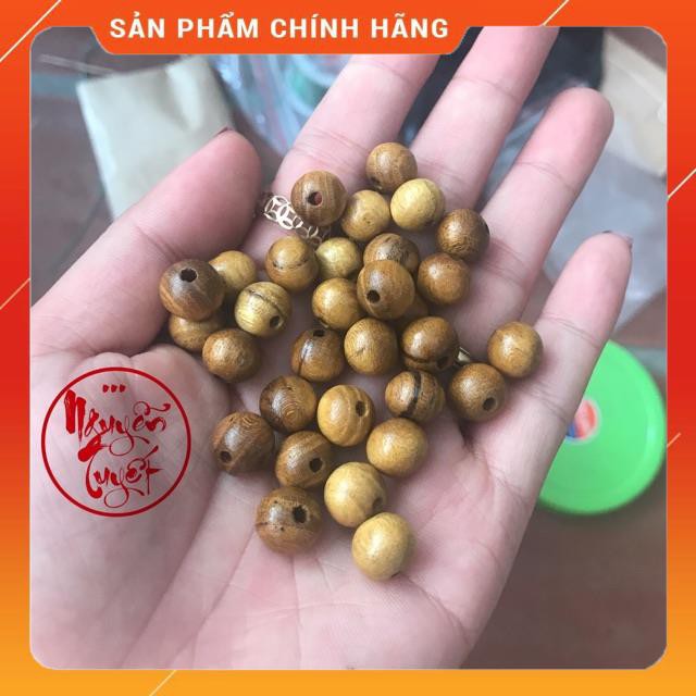 COMBO 100g HẠT DÂU GỐC SIZE 10 - 8 ly