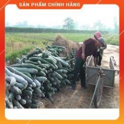HẠT GIỐNG BÍ XANH CAO SẢN GÓI 10 GRAM