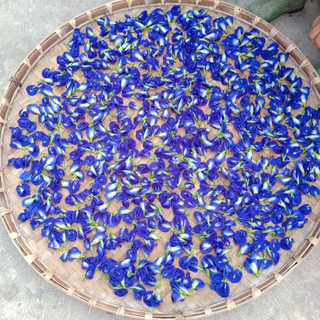(GIÁ SỈ 1KG) TRÀ HOA ĐẬU BIẾC NHÀ TRỒNG HỮU CƠ
