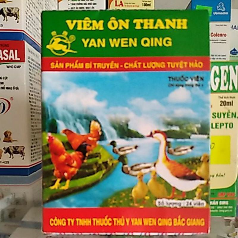 Combo 10 vỉ (24 viên/vỉ)  thuốc viêm ôn thanh trị khò khè, tiêu chảy, xù lông, xã cánh cho gà, chim cảnh - Yan Wen Qing