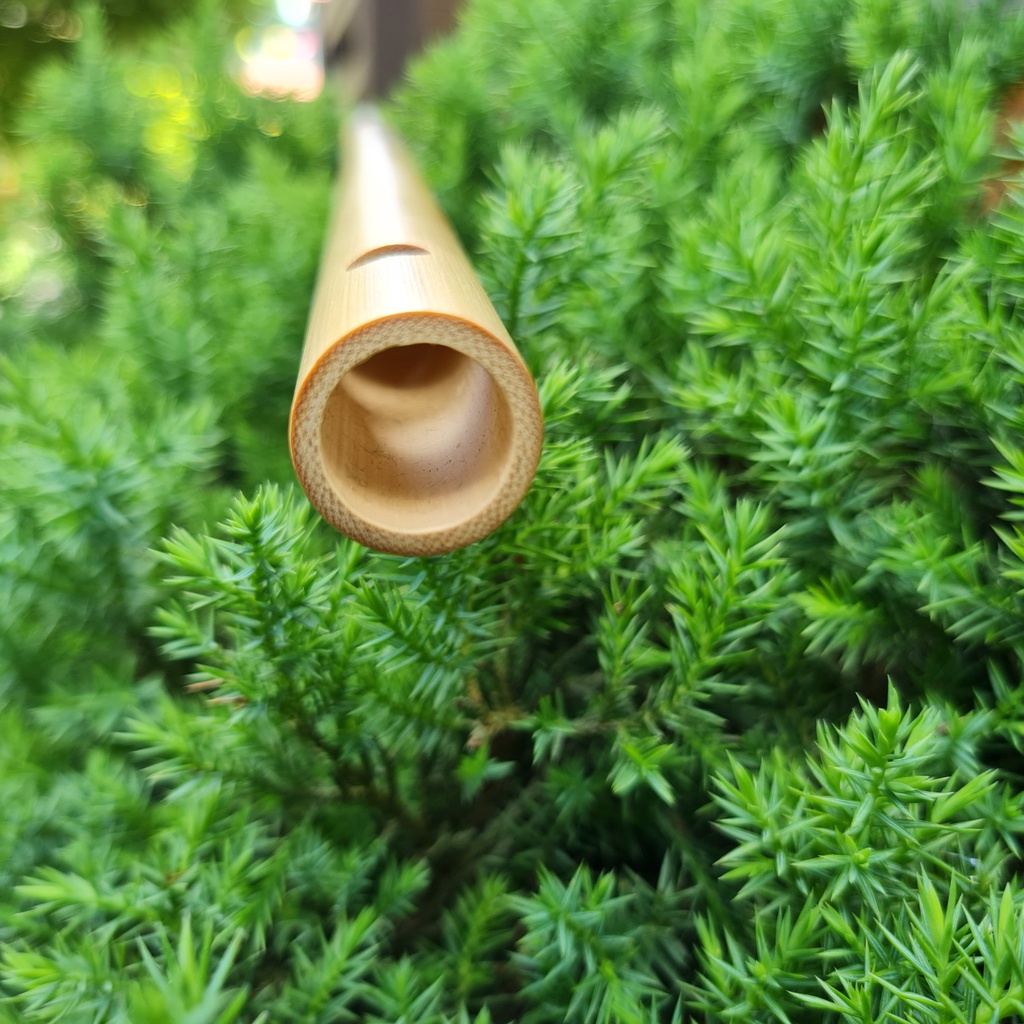 Sáo trúc dòng VS2 Tone La Trầm  Nứa Nam - Sáo Trúc Bùi Gia chính hãng