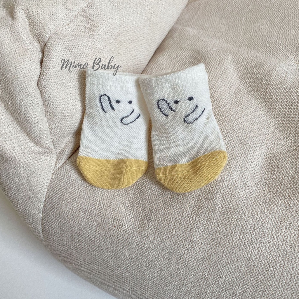 Set 3 đôi tất lưới thoáng khí cao cổ in hình dễ thương cho bé T29 Mimo Baby
