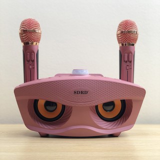 [Giá Hủy Diệt]  Loa Bluetooth Karaoke SDRD SD-306 [Ảnh thật tự chụp]