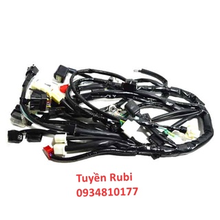 Dây điện sườn honda winner v1 | winner x - tuyền rubi