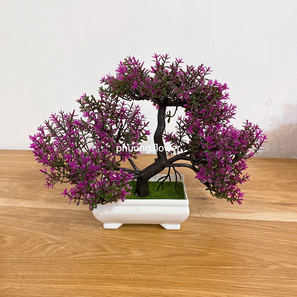Chậu cây thông bonsai giả nhựa 3 tán kèm chậu trang trí nội thất để bàn cực đẹp kích cỡ 25cm x 18cm