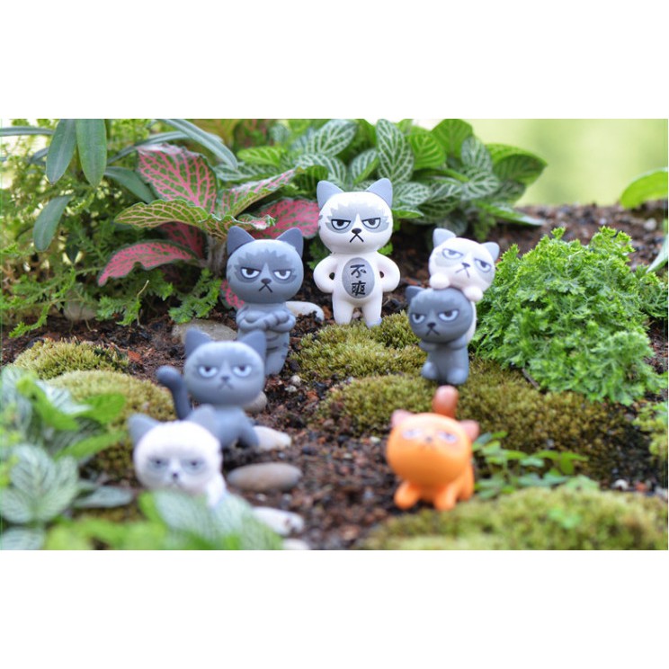 Mô hình mèo hoàng thượng tức giận để bàn