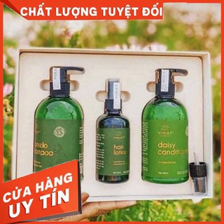 Combo bộ dầu gội và kem xả bưởi và tinh dầu bưởi vi jully cao cấp