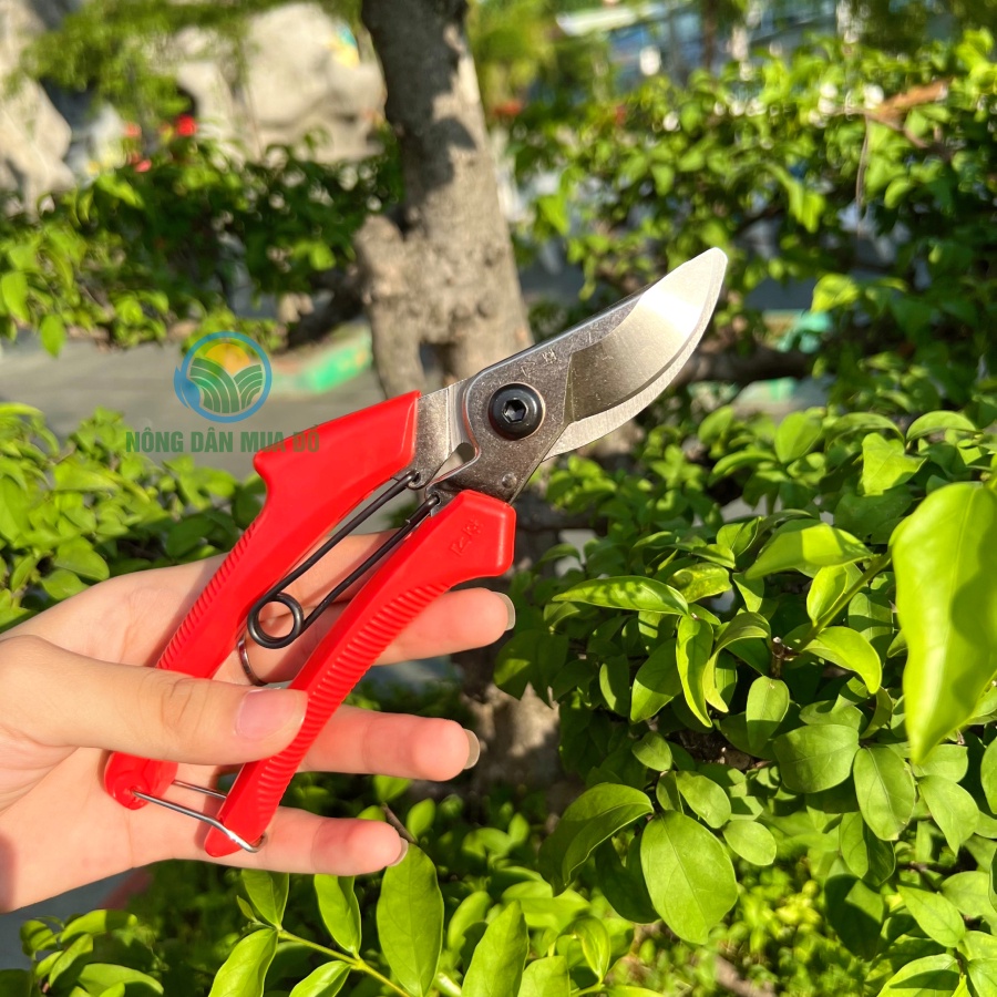 Kéo cắt cành, tỉa cành cây S-250 đa chức năng, siêu bền siêu sắc