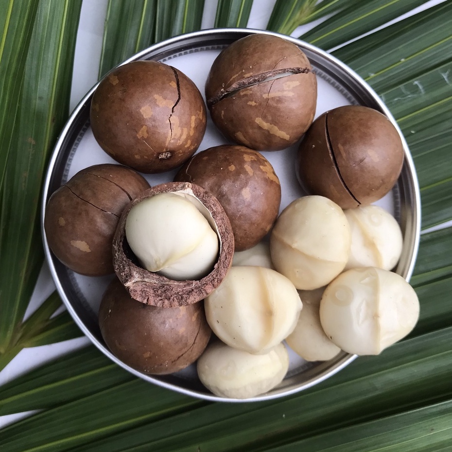 [Size Đại] Macca Đắk Lắk Organic sạch nhà trồng size quả to loại 1 - Giòn tan béo bùi - 500gram | BigBuy360 - bigbuy360.vn
